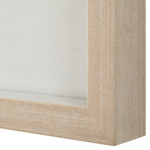 Tiger Sea Urchin Shadow Box - from framed art to mirrors, create a focal point in any room | Image 6 | InSTYLE Home & Rugs