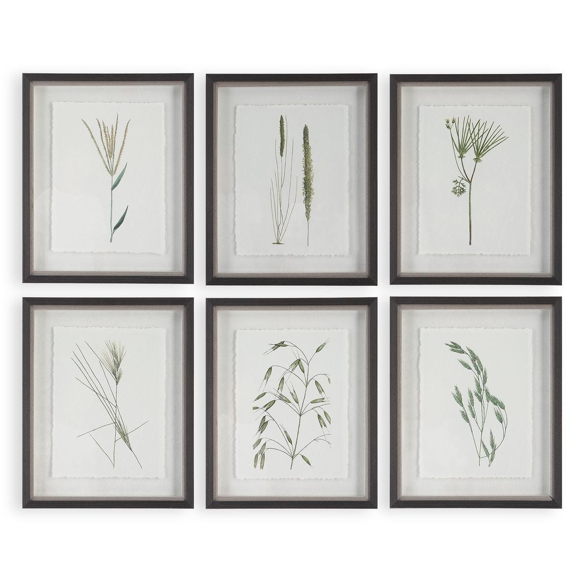 Forest Finds Framed Prints, S/6 - bold and creative art for unique interior décor | Image 1 | InSTYLE Home & Rugs