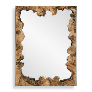 Abraham Mirror - elegant mirror for adding style and light to any room | Image 1 | InSTYLE Home & Rugs