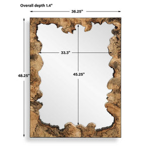 Abraham Mirror - elegant mirror for adding style and light to any room | Image 5 | InSTYLE Home & Rugs