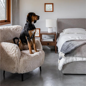 Julia Bed Short - luxurious bed for modern homes | Image 15 | InSTYLE Home & Rugs