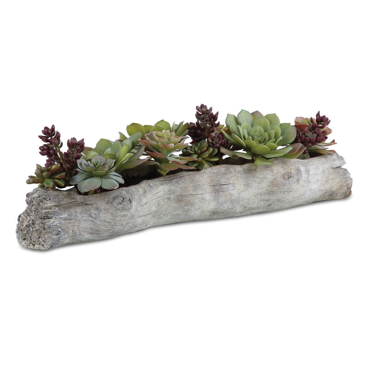 Charita Succulents - stylish home accessories to complete your decor | Image 1 | InSTYLE Home & Rugs