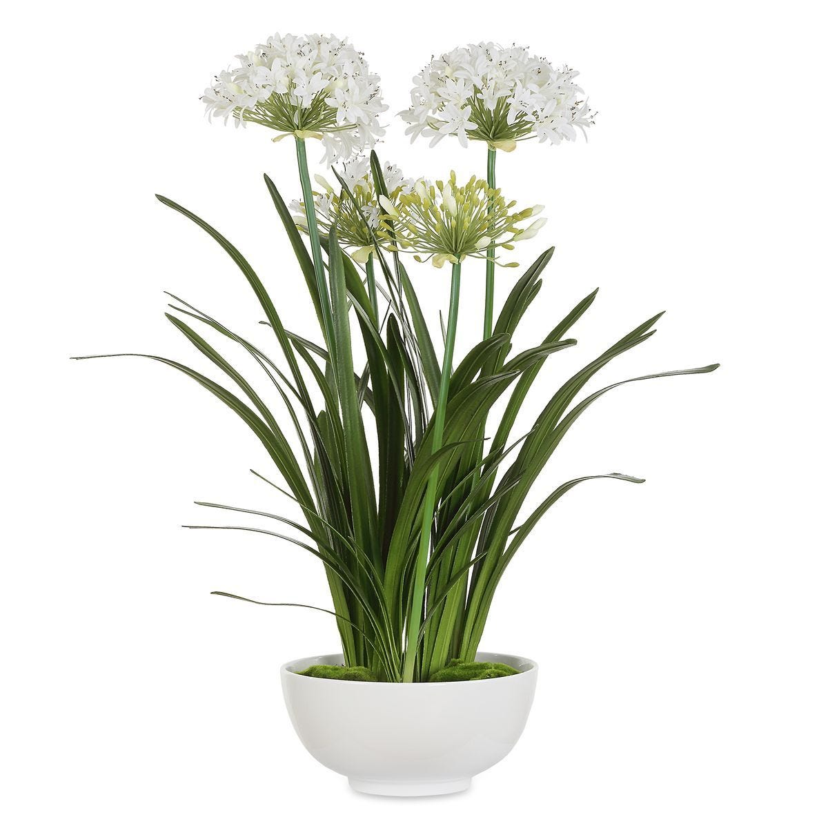 Purity Agapanthus Centerpiece - stylish home accessories to complete your decor | Image 1 | InSTYLE Home & Rugs