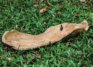 Teak Leaf Indoor-Outdoor Bowl - modern decorative bowl for displaying fruit or decorative items | Image 4 | InSTYLE Home & Rugs
