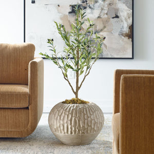 Rustic Roots Planter - decorative indoor planter for houseplants | Image 1 | InSTYLE Home & Rugs