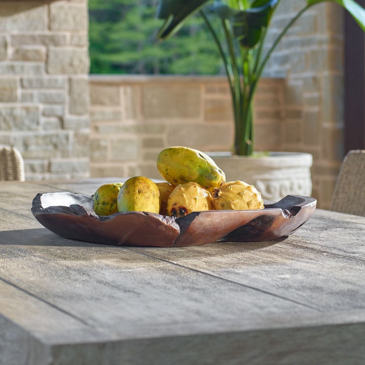 Nature's Edge Indoor-Outdoor Bowl - modern decorative bowl for displaying fruit or decorative items | Image 1 | InSTYLE Home & Rugs