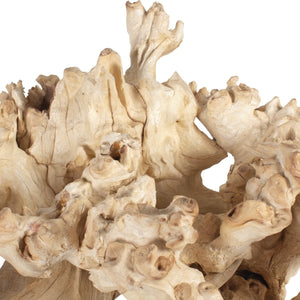 Elemental Root Indoor-Outdoor Sculptures, S/2 - stylish home accessories to complete your decor | Image 5 | InSTYLE Home & Rugs