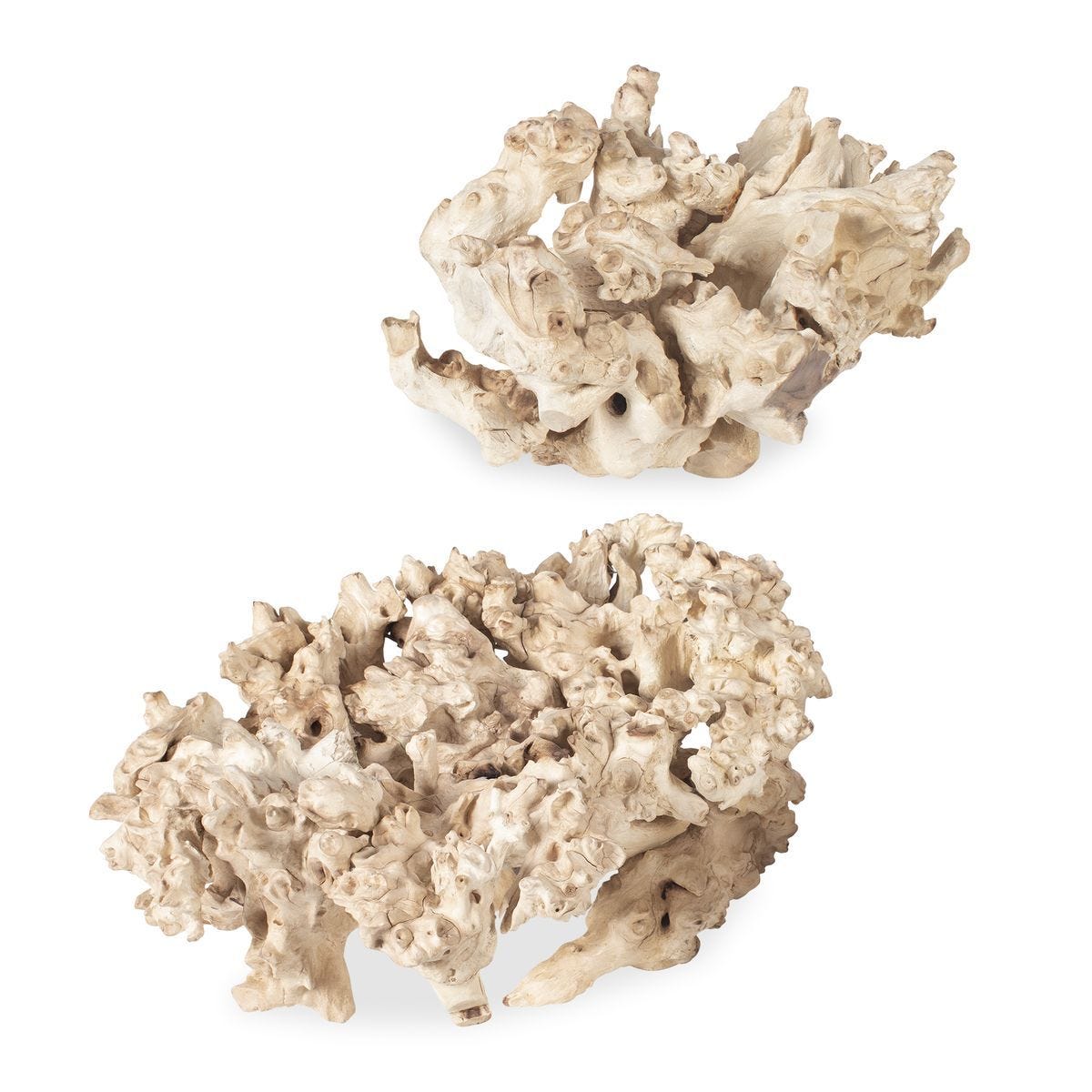 Elemental Root Indoor-Outdoor Sculptures, S/2 - stylish home accessories to complete your decor | Image 2 | InSTYLE Home & Rugs
