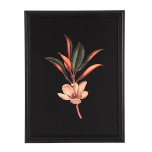 Wallflower - timeless artwork that brings character to any space | Image 2 | InSTYLE Home & Rugs