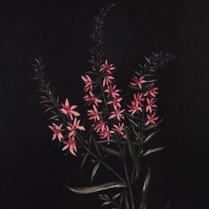 Wallflower - timeless artwork that brings character to any space | Image 8 | InSTYLE Home & Rugs