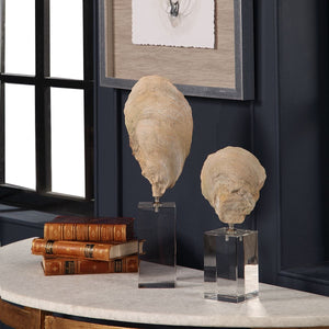 Oyster Shell Sculptures, S/2 - modern accessories for a personalized living space | Image 7 | InSTYLE Home & Rugs