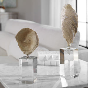 Oyster Shell Sculptures, S/2 - modern accessories for a personalized living space | Image 1 | InSTYLE Home & Rugs