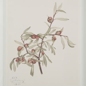 Crema - eye-catching art pieces to enhance your home design | Image 9 | InSTYLE Home & Rugs