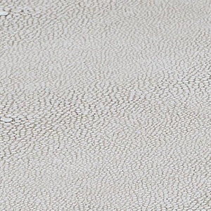 Lalique Box, White - decor accents and accessories for every room | Image 7 | InSTYLE Home & Rugs