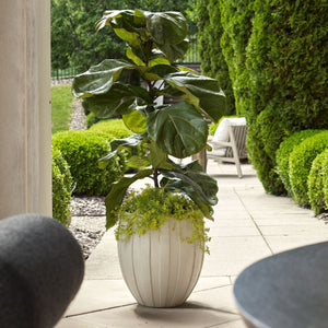Ridgehaven Indoor-Outdoor Planter - stylish plant pot for home or office decor | Image 1 | InSTYLE Home & Rugs