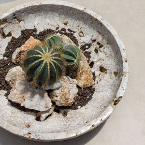 Quarried Stone Indoor-Outdoor Bowl - elegant decorative bowl for a unique centerpiece in any room | Image 8 | InSTYLE Home & Rugs