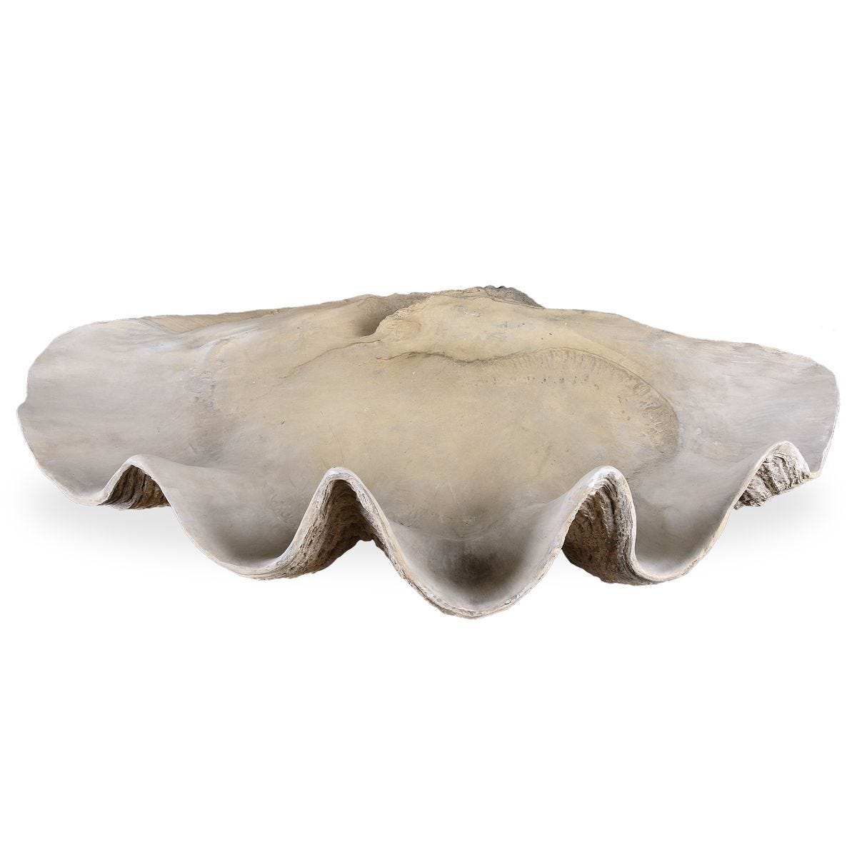 Clam Shell Bowl - stylish home accessories to complete your decor | Image 2 | InSTYLE Home & Rugs