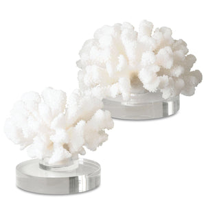 Hard Coral Sculpture, S/2 - decor accents and accessories for every room | Image 2 | InSTYLE Home & Rugs