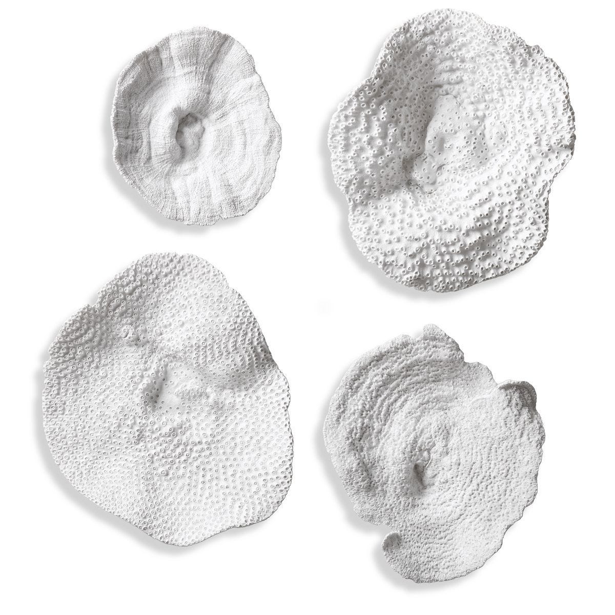 Sea Coral Wall Decor, S/4 - transform your walls with stylish wall decor | Image 2 | InSTYLE Home & Rugs