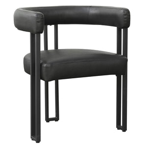 Scarlet Dining/Lounge Chair, Set of 2 - durable construction for long-lasting use | Image 1 | InSTYLE Home & Rugs