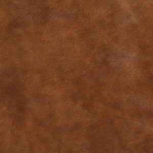 Delroy Armless Chair, Cognac, 2 Per Box, Priced Each - comfortable seating for dining and office spaces | Image 10 | InSTYLE Home & Rugs