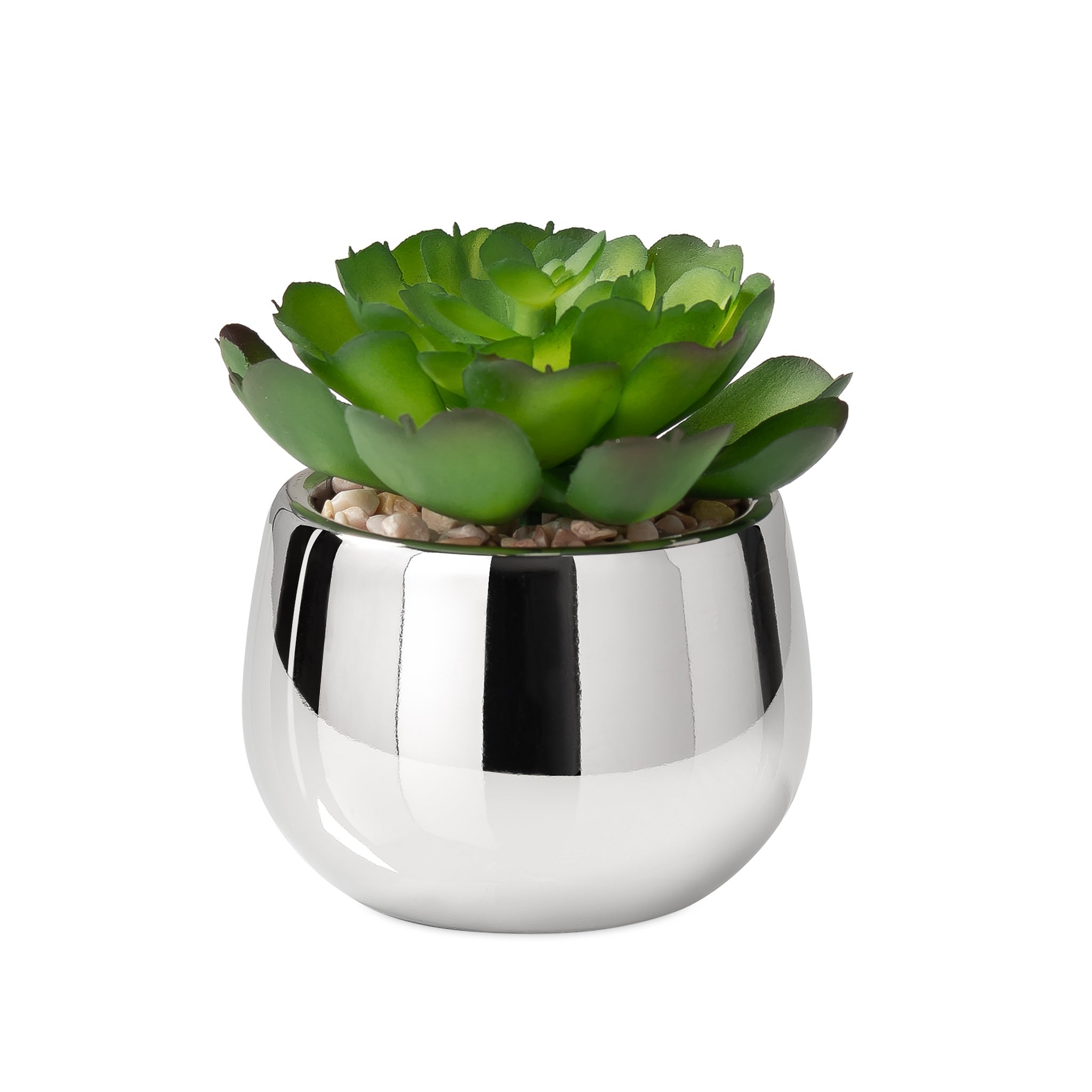 Silver Ball Potted Faux Succulent - functional pot for growing flowers, herbs, and plants | Image 1 | InSTYLE Home & Rugs