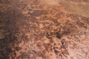 Venus Coffee Table - stylish tables for living rooms | Image 8 | InSTYLE Home & Rugs