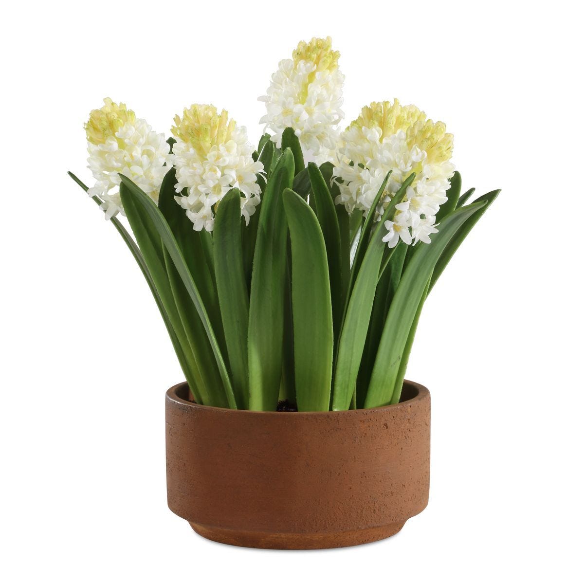 Sincerity Potted Hyacinth - stylish home accessories to complete your decor | Image 1 | InSTYLE Home & Rugs