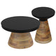Boden 2pc Coffee Table Set in Black with Walnut