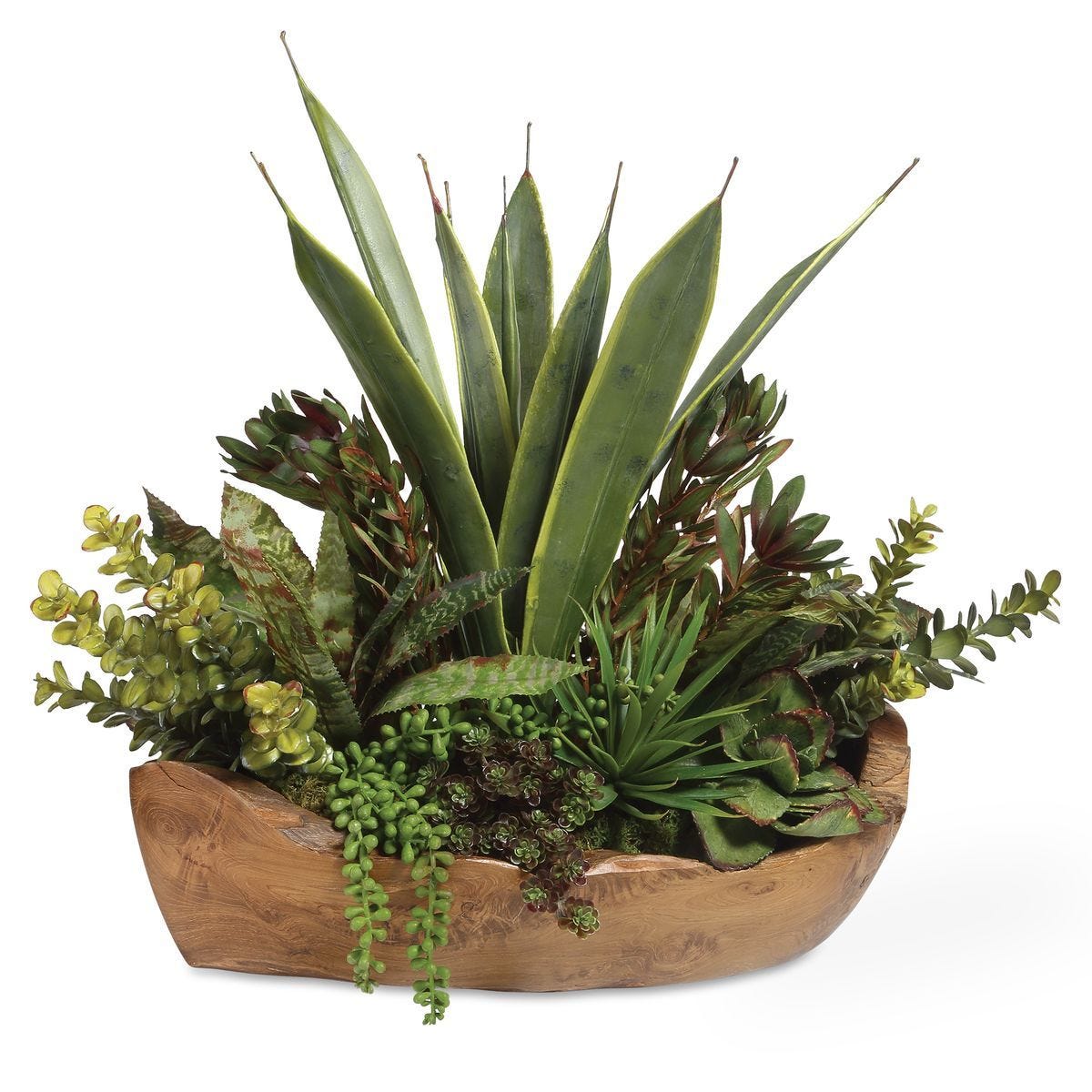 Salar Succulents - decor accents and accessories for every room | Image 1 | InSTYLE Home & Rugs