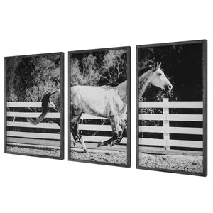 Galloping Forward Framed Prints, S/3 - timeless artwork that brings character to any space | Image 3 | InSTYLE Home & Rugs