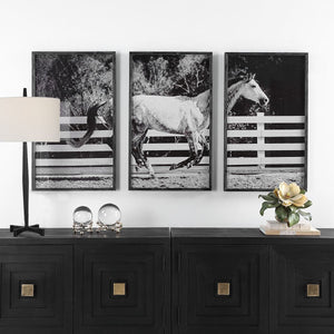 Galloping Forward Framed Prints, S/3 - timeless artwork that brings character to any space | Image 1 | InSTYLE Home & Rugs
