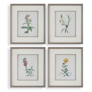 Heirloom Blooms Study Framed Prints, S/4 - bold and creative art for unique interior décor | Image 2 | InSTYLE Home & Rugs