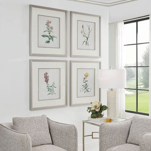 Heirloom Blooms Study Framed Prints, S/4 - bold and creative art for unique interior décor | Image 3 | InSTYLE Home & Rugs