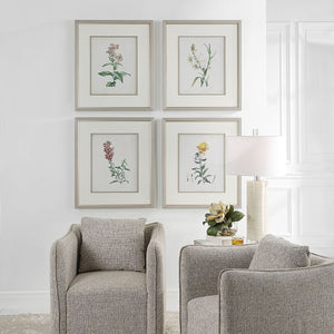 Heirloom Blooms Study Framed Prints, S/4 - bold and creative art for unique interior décor | Image 1 | InSTYLE Home & Rugs