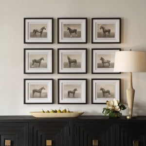 Equine Dynasty Framed Prints, S/9 - bold and creative art for unique interior décor | Image 1 | InSTYLE Home & Rugs