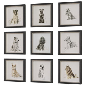 Loyal Companion Framed Prints, S/9 - timeless artwork that brings character to any space | Image 4 | InSTYLE Home & Rugs