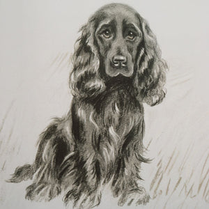 Loyal Companion Framed Prints, S/9 - timeless artwork that brings character to any space | Image 5 | InSTYLE Home & Rugs