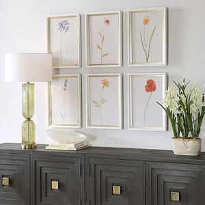 Wild Flourish Framed Prints, S/6 - bold and creative art for unique interior décor | Image 1 | InSTYLE Home & Rugs