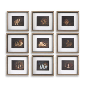 Resting Bunny Framed Prints, S/9 - bold and creative art for unique interior décor | Image 2 | InSTYLE Home & Rugs