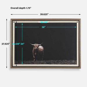 King Of The Hill Framed Print - eye-catching art pieces to enhance your home design | Image 7 | InSTYLE Home & Rugs