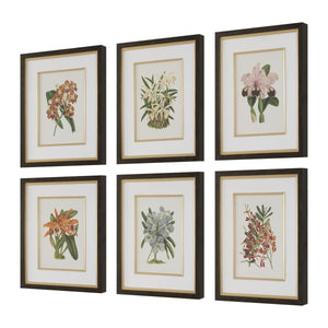 Orchid Botanical Framed Prints, S/6 - eye-catching art pieces to enhance your home design | Image 3 | InSTYLE Home & Rugs