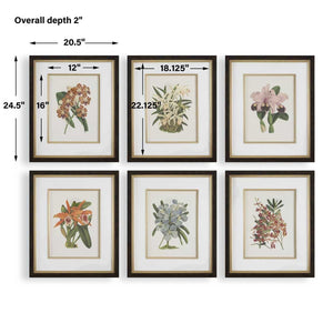 Orchid Botanical Framed Prints, S/6 - eye-catching art pieces to enhance your home design | Image 6 | InSTYLE Home & Rugs
