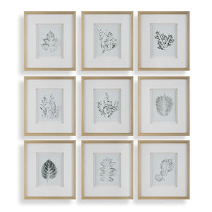 Nature's Script Framed Prints, S/9 - eye-catching art pieces to enhance your home design | Image 2 | InSTYLE Home & Rugs