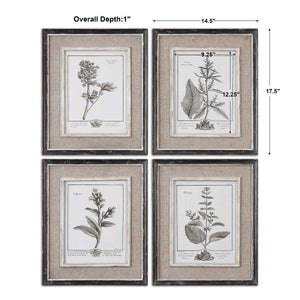 Casual Grey Study Framed Prints, S/4 - bold and creative art for unique interior décor | Image 4 | InSTYLE Home & Rugs