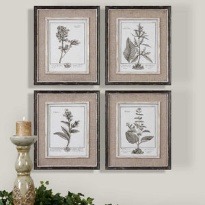 Casual Grey Study Framed Prints, S/4 - bold and creative art for unique interior décor | Image 1 | InSTYLE Home & Rugs