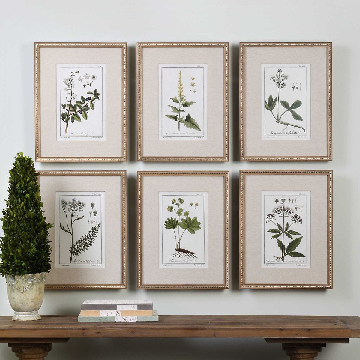 Green Floral Botanical Study Framed Prints, S/6 - bold and creative art for unique interior décor | Image 1 | InSTYLE Home & Rugs