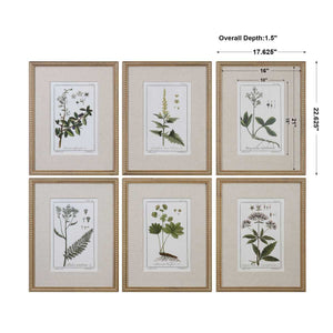 Green Floral Botanical Study Framed Prints, S/6 - bold and creative art for unique interior décor | Image 3 | InSTYLE Home & Rugs