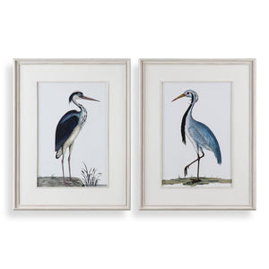 Shore Birds Framed Prints, S/2 - bold and creative art for unique interior décor | Image 2 | InSTYLE Home & Rugs