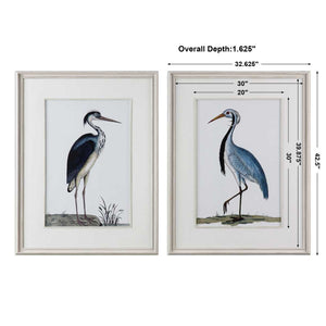 Shore Birds Framed Prints, S/2 - bold and creative art for unique interior décor | Image 3 | InSTYLE Home & Rugs